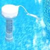 FLOATING POOL THERMOMETER - PM 553 - Image 4